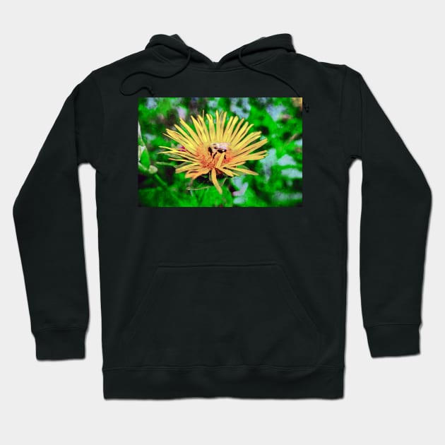 Bee On Elecampane Flower 2 Hoodie by Robert Alsop